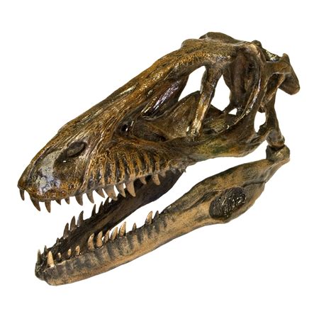 dinosaur bones fake|reproduction dinosaur skulls for sale.